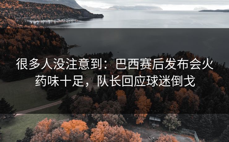 很多人没注意到：巴西赛后发布会火药味十足，队长回应球迷倒戈  第1张